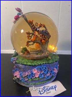 #34 Disney Winnie the Pooh and Christopher Robin Snow Globe