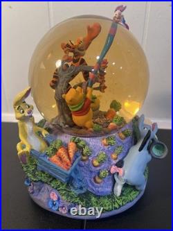 #34 Disney Winnie the Pooh and Christopher Robin Snow Globe