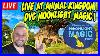 DVC_Moonlight_Magic_Event_At_Animal_Kingdom_Disney_World_Wdw_01_ordb
