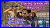 Day_2_U0026_3_On_Disney_S_New_Cruise_Ship_Minnie_S_New_Outfit_New_Merch_Shows_Disney_Ape_On_Stage_01_ddjn