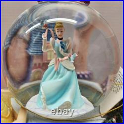Disney A Dream Is A Wish Your Heart Makes Princess snow globe New in Box
