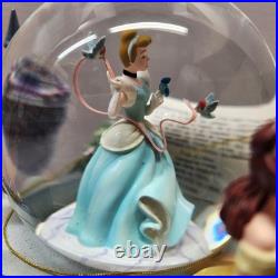 Disney A Dream Is A Wish Your Heart Makes Princess snow globe New in Box