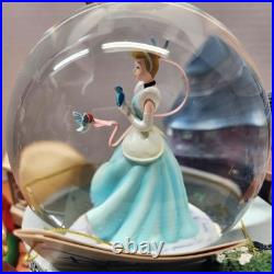 Disney A Dream Is A Wish Your Heart Makes Princess snow globe New in Box