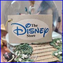 Disney A Dream Is A Wish Your Heart Makes Princess snow globe New in Box