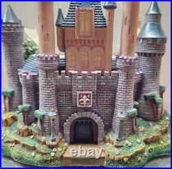 Disney A Dream Is A Wish Your Heart Makes Princess snow globe New in Box