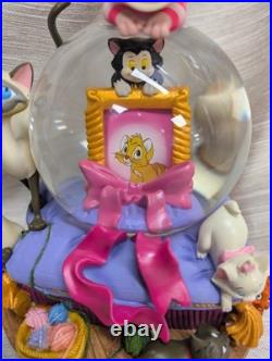 Disney Alice In Wonderland Snow Globe Music Box Cheshire Cat