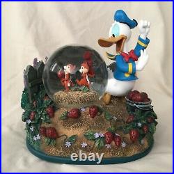 Disney Donald Duck Chip & Dale STRAWBERRY GARDENMusic Box Figurine Snowglobe-IOB