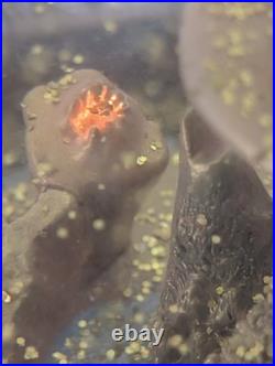 Disney Peter Pan 50th Anniversary Snow Globe Musical You Can Fly Sankyo Disney Peter Pan 50th Anniversary Snow Globe Musical You Can Fly Sankyo