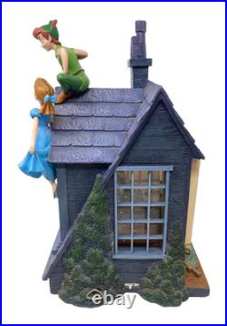 Disney Peter Pan You Can Fly Darling House Snow Globe Music Light Pump Working
