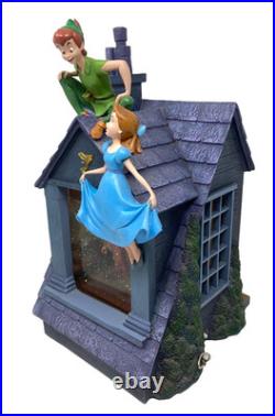 Disney Peter Pan You Can Fly Darling House Snow Globe Music Light Pump Working