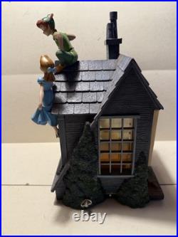Disney Peter Pan You Can Fly Darling House Snow Globe Music VERY RARE