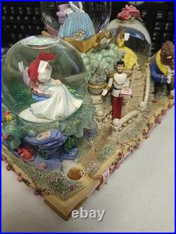 Disney Princess Fairy Tales Musical Snow Globe Share a Dream is Wish Heart Makes