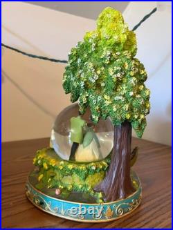 Disney Princess & The Frog Wedding Light Up Snow Globe