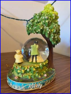 Disney Princess & The Frog Wedding Light Up Snow Globe
