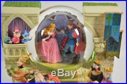 Disney Sleeping Beauty Once Upon A Dream Snow Globe Double Sided Aurora Prince