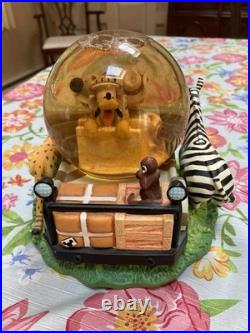 Disney Snow Globe Animal Kingdom Zip A Dee Doo Dah Mickey Safari
