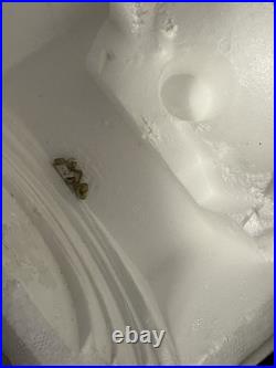 Disney Store Beauty And The Beast Be Our Guest Musical Snow Globe