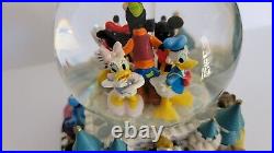 Disney World 14 Animated Music Lights Double Snow Globe A Magical Gathering