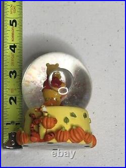 Lot Of 6 Disney Winnie The Pooh Calendar Months Mini Snow Globe