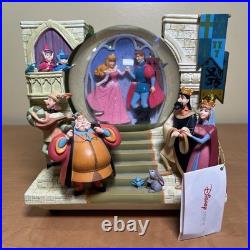 Open Box Disney Aurora And Her Prince Double Sided Snow Globe Read Description Open Box Disney Aurora And Her Prince Double Sided Snow Globe Read Description