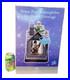 RARE_Disney_Peter_Pan_You_Can_Fly_Darling_House_Snow_Globe_With_Music_Light_01_fu