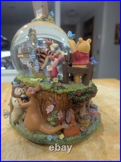 RARE Disney Winnie The Pooh Photographer Musical Snow Globe