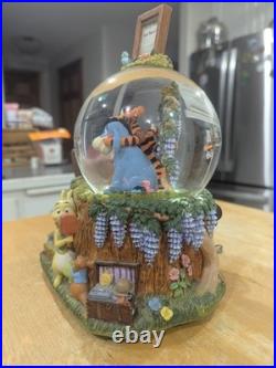 RARE Disney Winnie The Pooh Photographer Musical Snow Globe