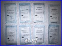 Rare Bradford Exchange Disney Cinderella's Castle Snow Globe Display