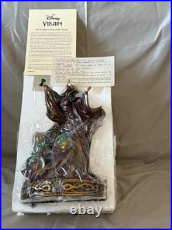 Rare Disney Snow Globe New in Package The Evil Queen Snow Globe Figurine