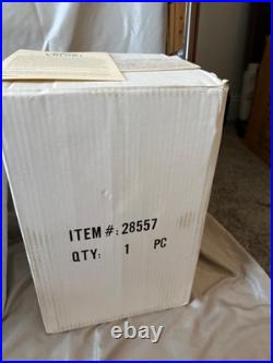 Rare Disney Snow Globe New in Package The Evil Queen Snow Globe Figurine