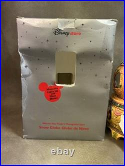 Winnie-the-Pooh's Thoughtful Spot Disney Store Snow Globe Music Box See Video