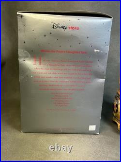 Winnie-the-Pooh's Thoughtful Spot Disney Store Snow Globe Music Box See Video