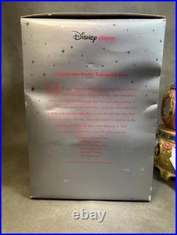 Winnie-the-Pooh's Thoughtful Spot Disney Store Snow Globe Music Box See Video